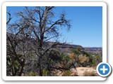 USA-Suedwest-231003-2765-Natural-Bridges-National-Monument