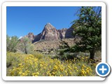 USA-Suedwest-231003-1761-Zion-National-Park