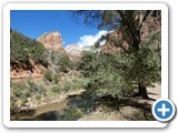 USA-Suedwest-231003-1774-Zion-National-Park