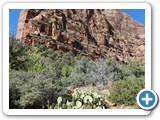 USA-Suedwest-231003-1787-Zion-National-Park