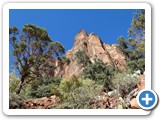 USA-Suedwest-231003-1790-Zion-National-Park