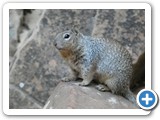 USA-Suedwest-231003-1817-Zion-National-Park