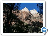 USA-Suedwest-231003-1870-Zion-National-Park