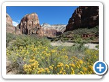 USA-Suedwest-231003-1872-Zion-National-Park