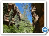 USA-Suedwest-231003-1891-Zion-National-Park