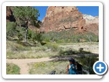 USA-Suedwest-231003-2035-Zion-National-Park