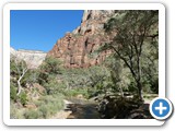 USA-Suedwest-231003-2038-Zion-National-Park