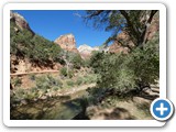 USA-Suedwest-231003-2039-Zion-National-Park