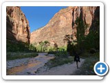 USA-Suedwest-231003-2048-Zion-National-Park