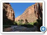 USA-Suedwest-231003-2050-Zion-National-Park