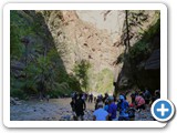 USA-Suedwest-231003-2055-Zion-National-Park