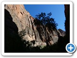 USA-Suedwest-231003-2058-Zion-National-Park