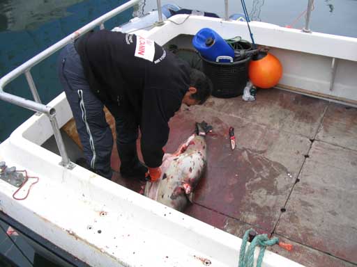 2004-08-07 - Illu - 01