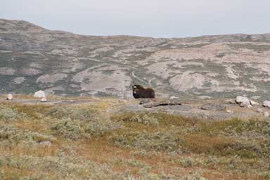 2004-08-11 - Kang - 01