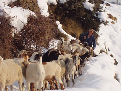 Alpujaras_Granada_P3060140