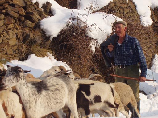 Alpujaras_Granada_P3060141