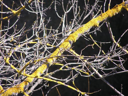 Alpujaras_Granada_P3070113