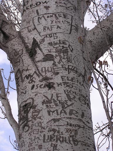 Alpujaras_Granada_P3160214