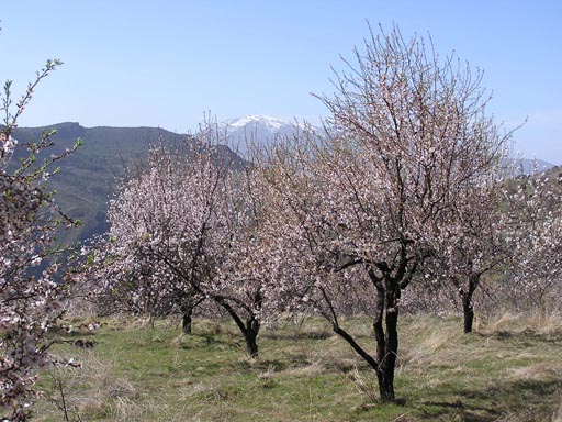 Alpujaras_Granada_P3180243