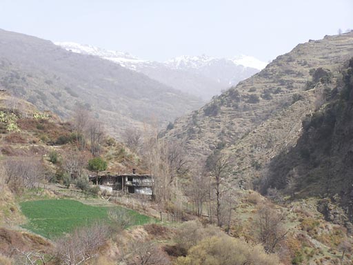 Alpujaras_Granada_P3200249