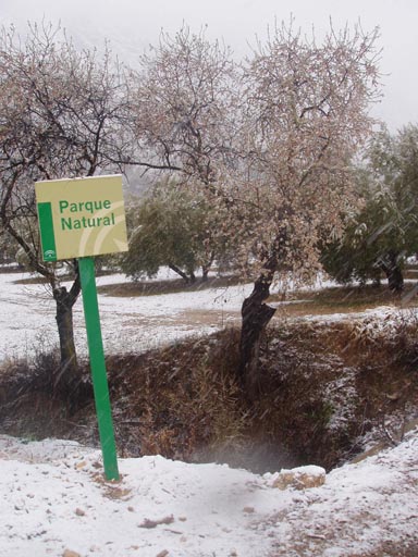 Sierra_Subbaetica_Cordoba_P3040064