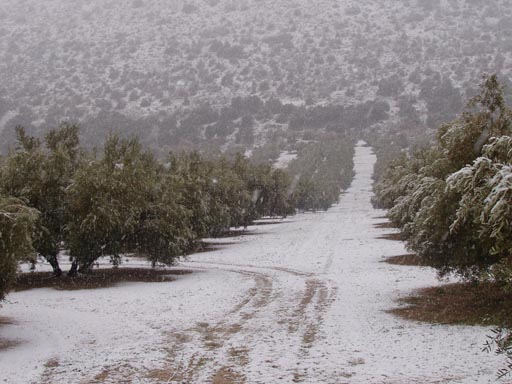 Sierra_Subbaetica_Cordoba_P3040069