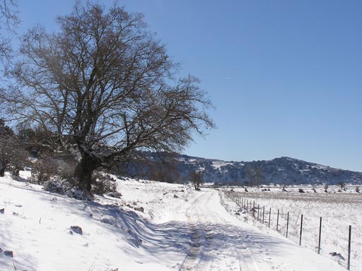 Sierra_Subbaetica_Cordoba_P3050011