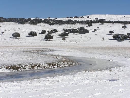 Sierra_Subbaetica_Cordoba_P3050017