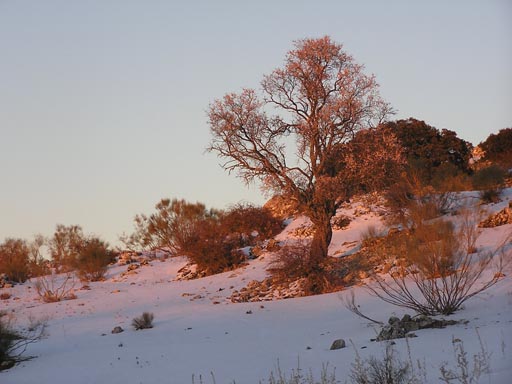 Sierra_Subbaetica_Cordoba_P3050048