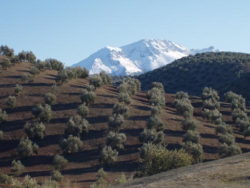 Sierra_Subbaetica_Cordoba_P3050104