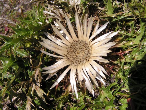 050901Oberinntal 052