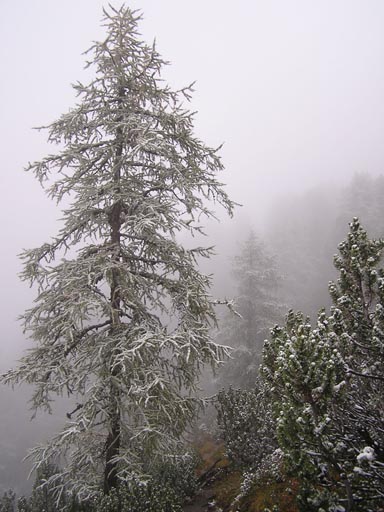 050901Oberinntal 114