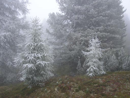 050901Oberinntal 115