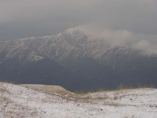 3_Trek_Bednibugyal_Vikaltal_0604_P4170157