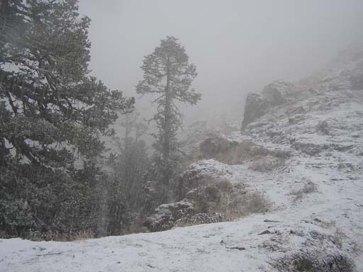 3_Trek_Bednibugyal_Vikaltal_0604_P4170188