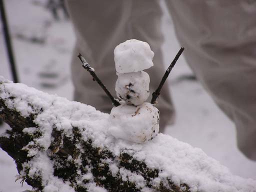 3_Trek_Bednibugyal_Vikaltal_0604_P4170198