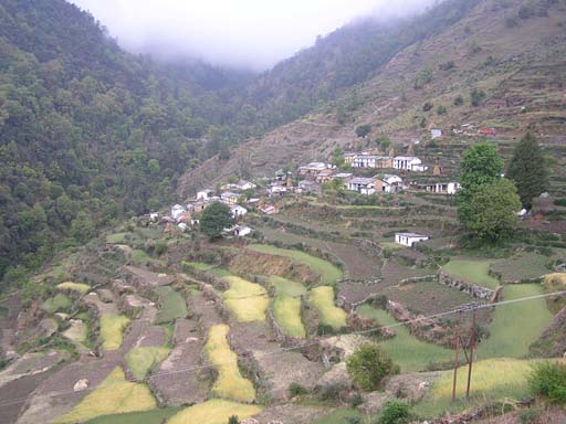 3_Trek_Bednibugyal_Vikaltal_0604_P4180018