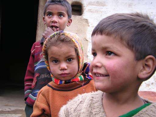 3_Trek_Bednibugyal_Vikaltal_0604_P4180047