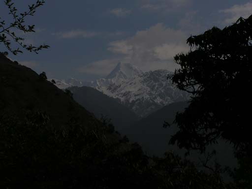 3_Trek_Bednibugyal_Vikaltal_0604_P4190069