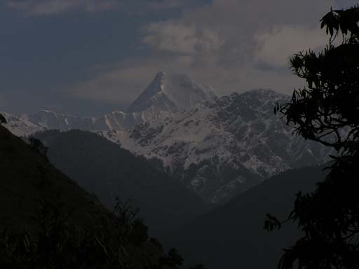 3_Trek_Bednibugyal_Vikaltal_0604_P4190070