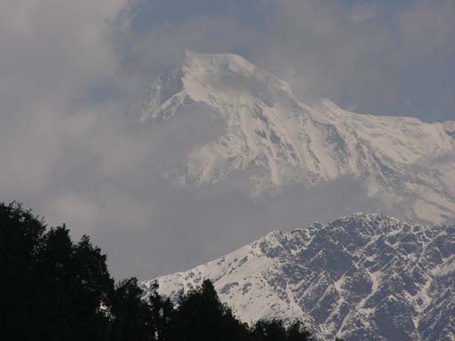 3_Trek_Bednibugyal_Vikaltal_0604_P4190077