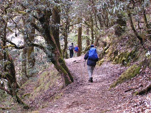 3_Trek_Bednibugyal_Vikaltal_0604_P4190087