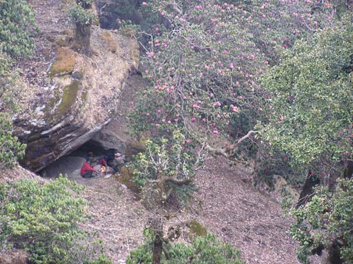 3_Trek_Bednibugyal_Vikaltal_0604_P4190094