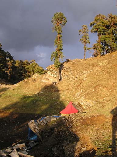 3_Trek_Bednibugyal_Vikaltal_0604_P4190104