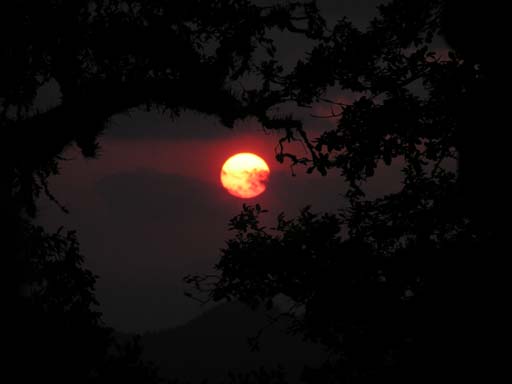 3_Trek_Bednibugyal_Vikaltal_0604_P4190116