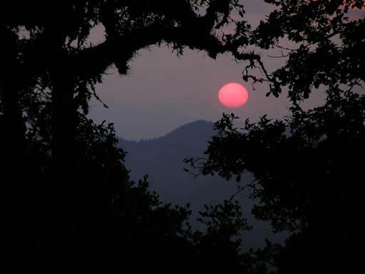 3_Trek_Bednibugyal_Vikaltal_0604_P4190119