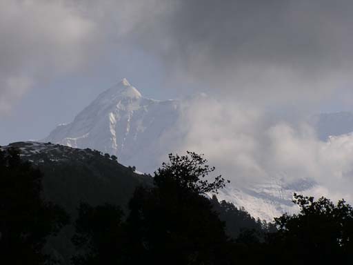 3_Trek_Bednibugyal_Vikaltal_0604_P4200124