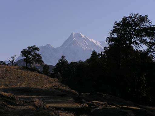 3_Trek_Bednibugyal_Vikaltal_0604_P4210135