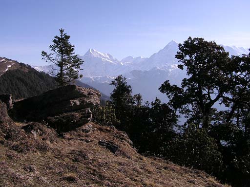 3_Trek_Bednibugyal_Vikaltal_0604_P4210147