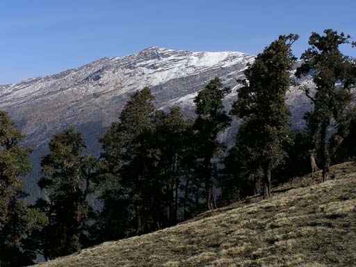 3_Trek_Bednibugyal_Vikaltal_0604_P4210155
